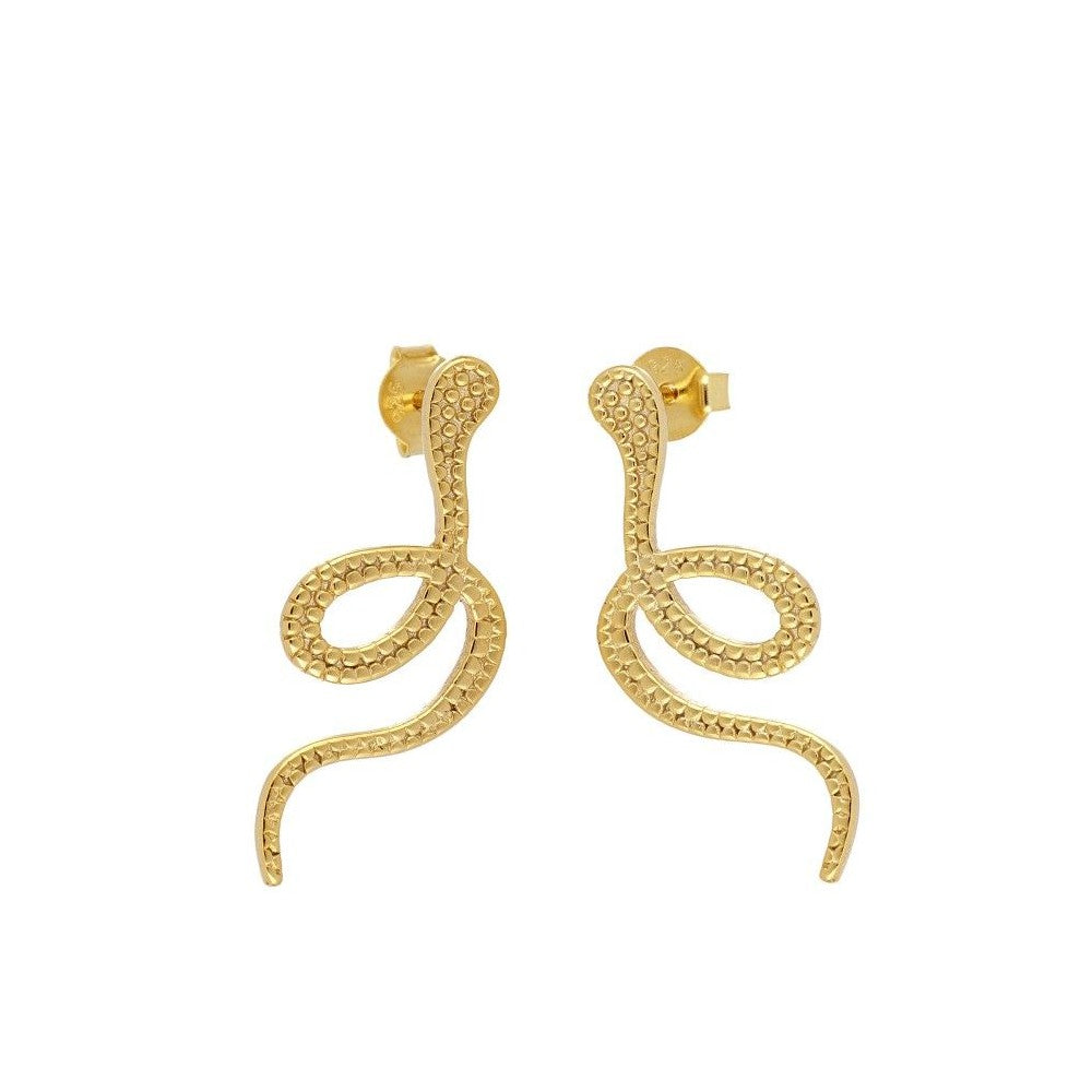 Aretes víboras