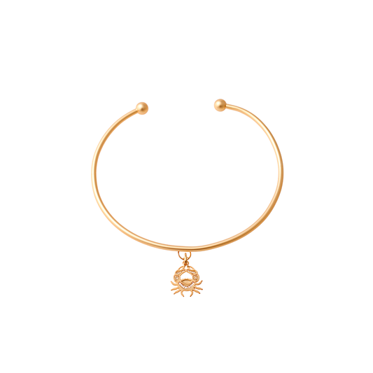 Collar gargantilla rigido