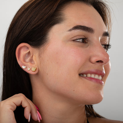 Arete caracola fosil