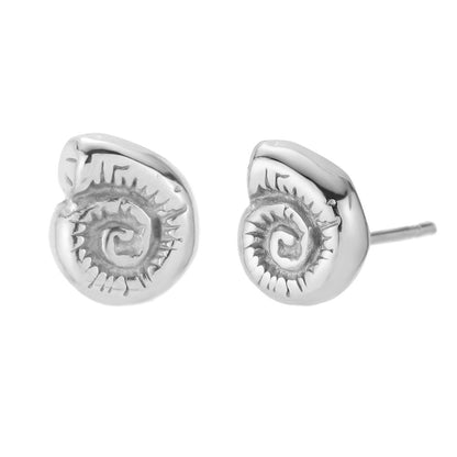 Arete caracola fosil