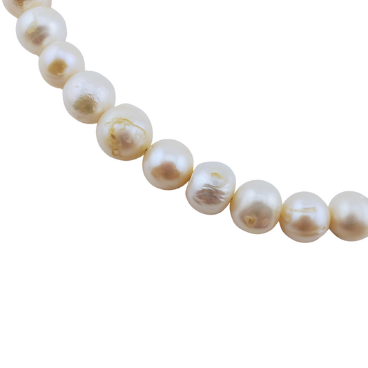 Collar perlas redondas completo