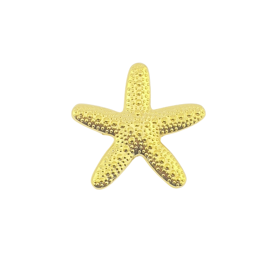 Broche estrella mar chunky