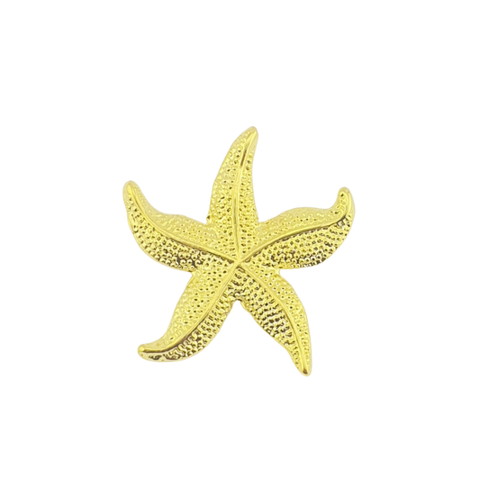 Broche estrella mar puntas