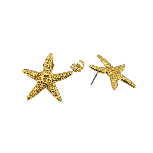 Arete estrella de mar