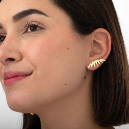 Arete Adrianina