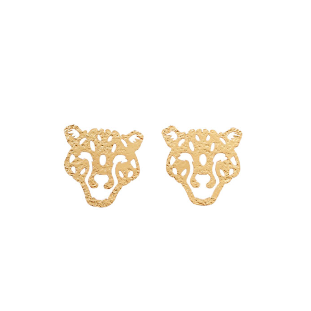 Arete jaguar