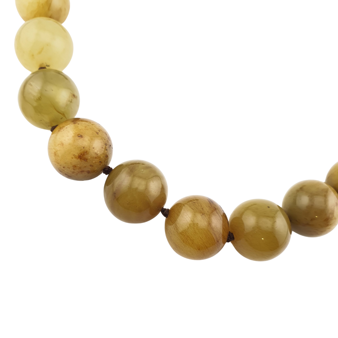 Collar shapire grape wonder maxi