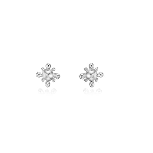 Arete molecula