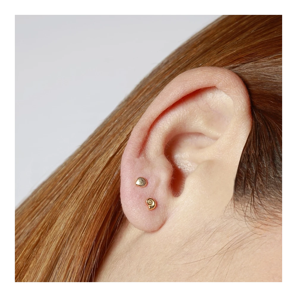 Arete caracola.